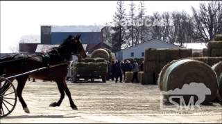 4/5/14 Hazleton, Iowa Amish *Danny Murphy HD*