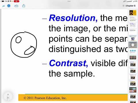 BIO 101 | Chapter 6 | Part 1 |