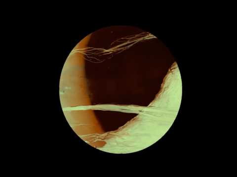 Frequenzfresser - Chaostrophob