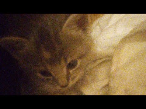 Baking brownies with Aury! *PS key word GENTLY!!!!!!*