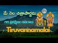 Chithra Pournami 2025 అరుణాచల గిరి ప్రదక్షిణం