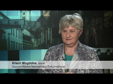 Sopron TV 20170117 Mozaik