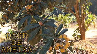 DOCE DE AMEIXA AMARELA. O MAIS GOSTOSO! ♥️♥️♥️