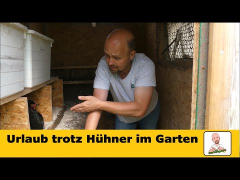 Holiday planning despite chickens in the garden