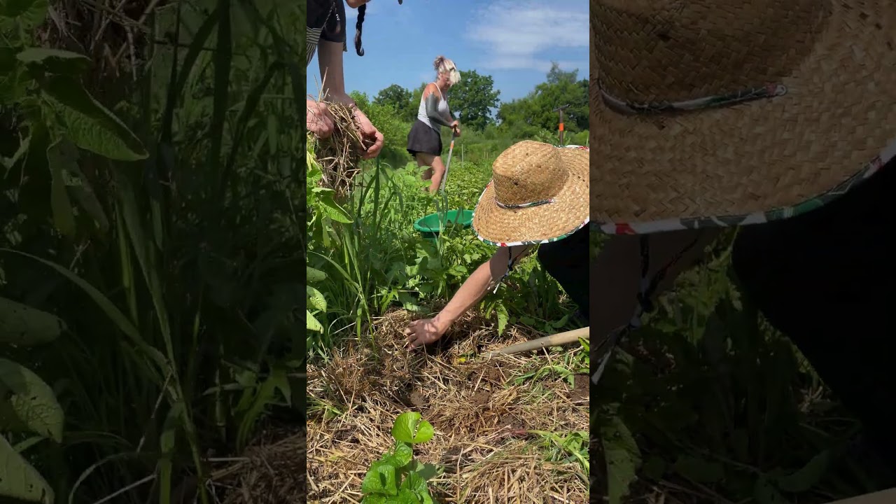 Get to Know the Regenerative Grower Training Program