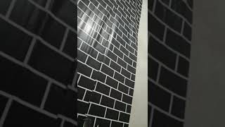 Download lagu lagu bali nyolong semara ary kencana ft putri ari mp3