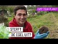 STERFT DE EGEL UIT?? | Zapp Your Planet | NPO Zapp