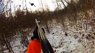 Смотреть онлайн Зимняя охота на птиц от первого лица с собакой
