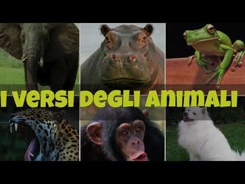scaricare versi degli animali mp3 da