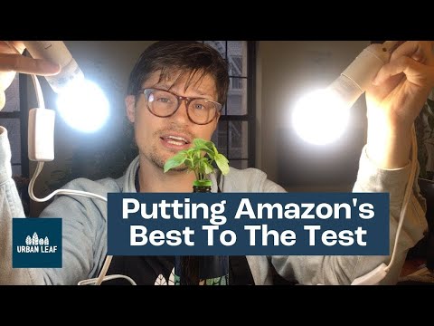 download lagu mp3 mp4 Types Of Grow Lights For Indoor Plants, download lagu Types Of Grow Lights For Indoor Plants gratis, unduh video klip Types Of Grow Lights For Indoor Plants