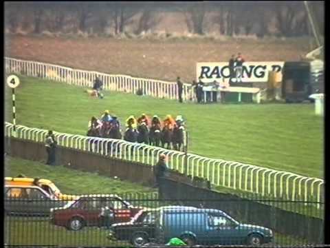 1989 Philip Cornes Brocklesby Stakes
