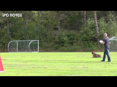 FCI NM IPO 2014 Erik Engeland - Crutt av Staalhjerte - B