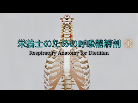 S12 AL 1301 ~ 1308 - 定義