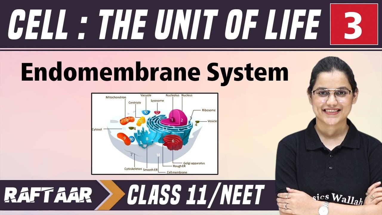 Cell : The Unit of Life 03 || Endomembrane System || Class 11/NEET || RAFTAAR