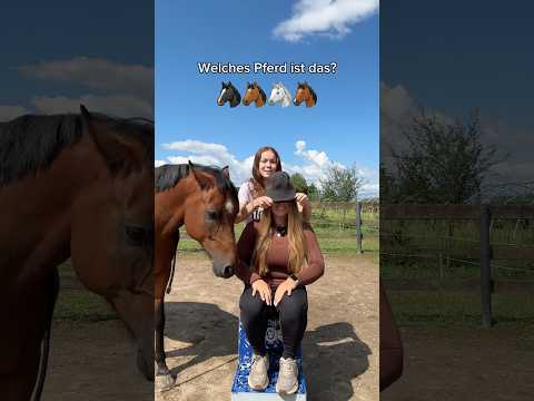 BLIND Pferde erraten 😱🐴