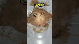 Download lagu La Limpieza Que Dio Una Nueva Vida A Este Peluche mp3 Download lagu La Limpieza Que Dio Una Nueva Vida A Este Peluche mp3