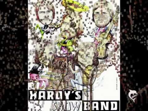 HARDY´S BAND -- Beach Boys- Medley   "LIVE"