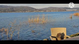 صورة الدولة الأموية ( سنة 70-71 ) مقتل مصعب بن الزبير