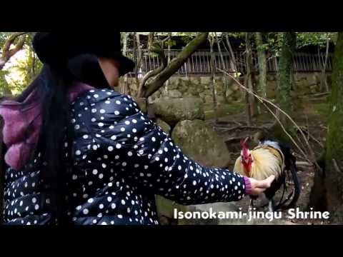 A Glimpse into the world of Minami Yoshida