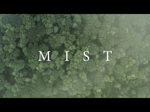 The Misty Forest | Cinematic Drone Footage