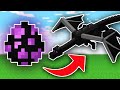 You Can Now Summon The Ender Dragon With It's Egg!