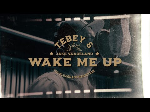 Tebey & Jake Vaadeland: Wake Me Up - The Bluegrass Rendition (Official Video)