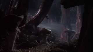 DEAD CAN DANCE, " Mother Tongue " ( a Music-Video-Clip )