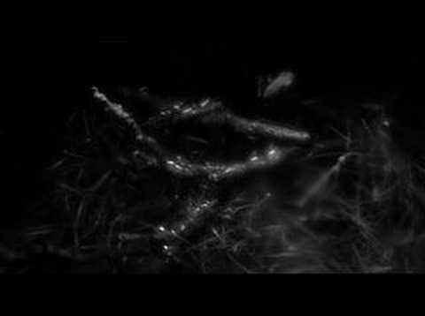 Re: Pier Bucci - l'nuit - with audio in sync!