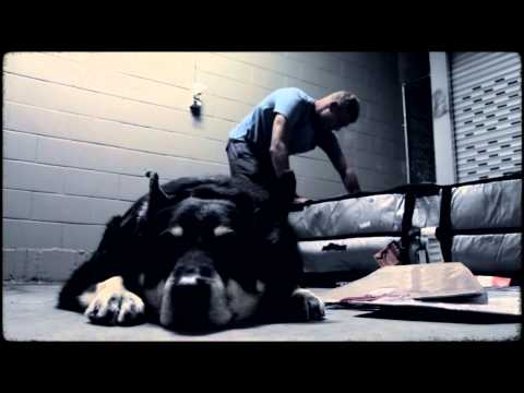 FRAME OF MIND | EPISODE ONE | MICK FANNING | THE ESCAPE