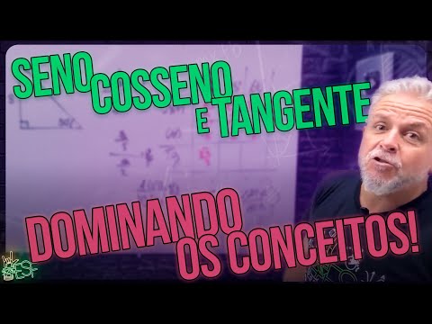 Trigonometric Ratios: Sine, Cosine, and Tangent Made Simple! - Math with Professor Heraldo