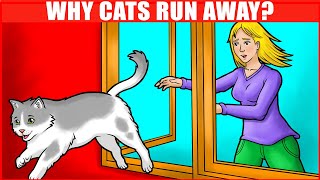 Why Cats Leave and Never Return?
