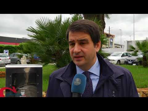 PUGLIA | Psr Puglia: il Tar annulla le graduatorie della misura 4.1a. Stop a 183 milioni di euro