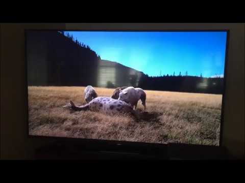 Ice Age Giants (Direwolf vs Sabertooth)