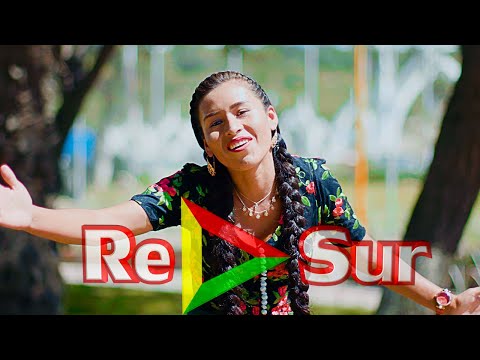 Los Felidos - Caldito de cardan (Primicia 2020) RePlaySur© Oficial✓