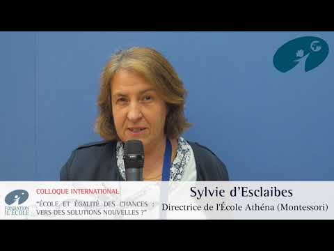 Vido de Sylvie d` Esclaibes