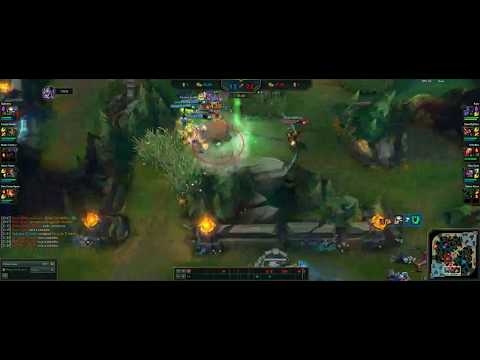 Arauto matando a leona com cabeçada!!