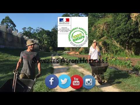 Restore the soil and share the farming experience ! Bio Organic Farm, Australia