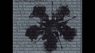 Beequeen - Long Stones And Circles (Excerpt)