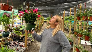 I Got a Wishlist Plant At This Nursery!