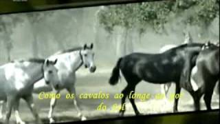 João Chora /**Fado do Ribatejo**/