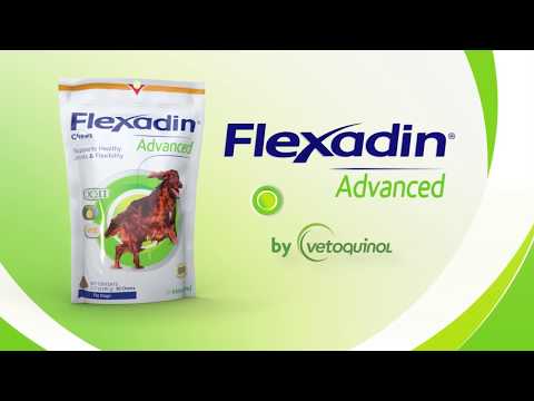Flexadin Plus Small Dogs & Cats (90 chews) Video