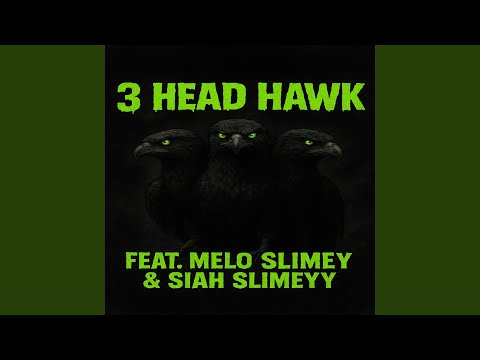3 head Hawk (feat. Siah Slimeyy & Melo Slimey)