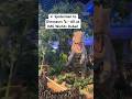 ️ Spiderman To Dinosaurs All At IMG Worlds Dubai Shorts Viral Imgworldsdubai Dinosaur