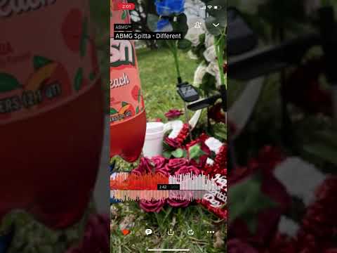 Different jawn for truly-Abmg spitta