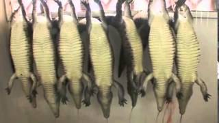 Hermès: le coup de colère de Jane Birkin