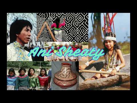 Ani sheaty audio limpio