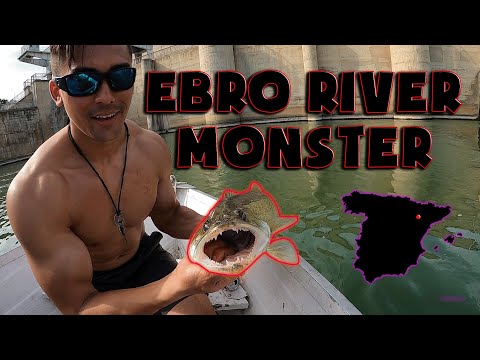 Mallefiskeri i Ebro i Spanien