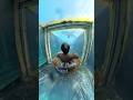 Waterslide into a SHARK TANK 🦈