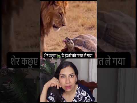शेर 🦁 को गलतफहमी हो गई.. 🤭🤭🤭🤭
