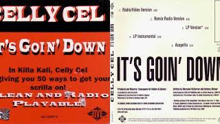 Celly Cel - It&#39;s Goin&#39; Down (Remix Radio Version) (1996) (Vallejo, CA)
